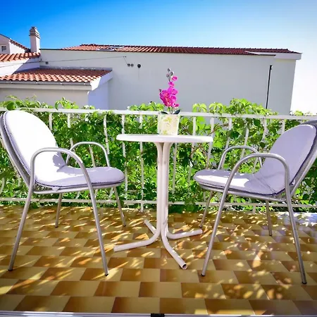Apartment Vekic *